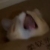 陈穗