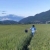 王雅丽