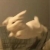 何丽