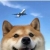 宋佳阳