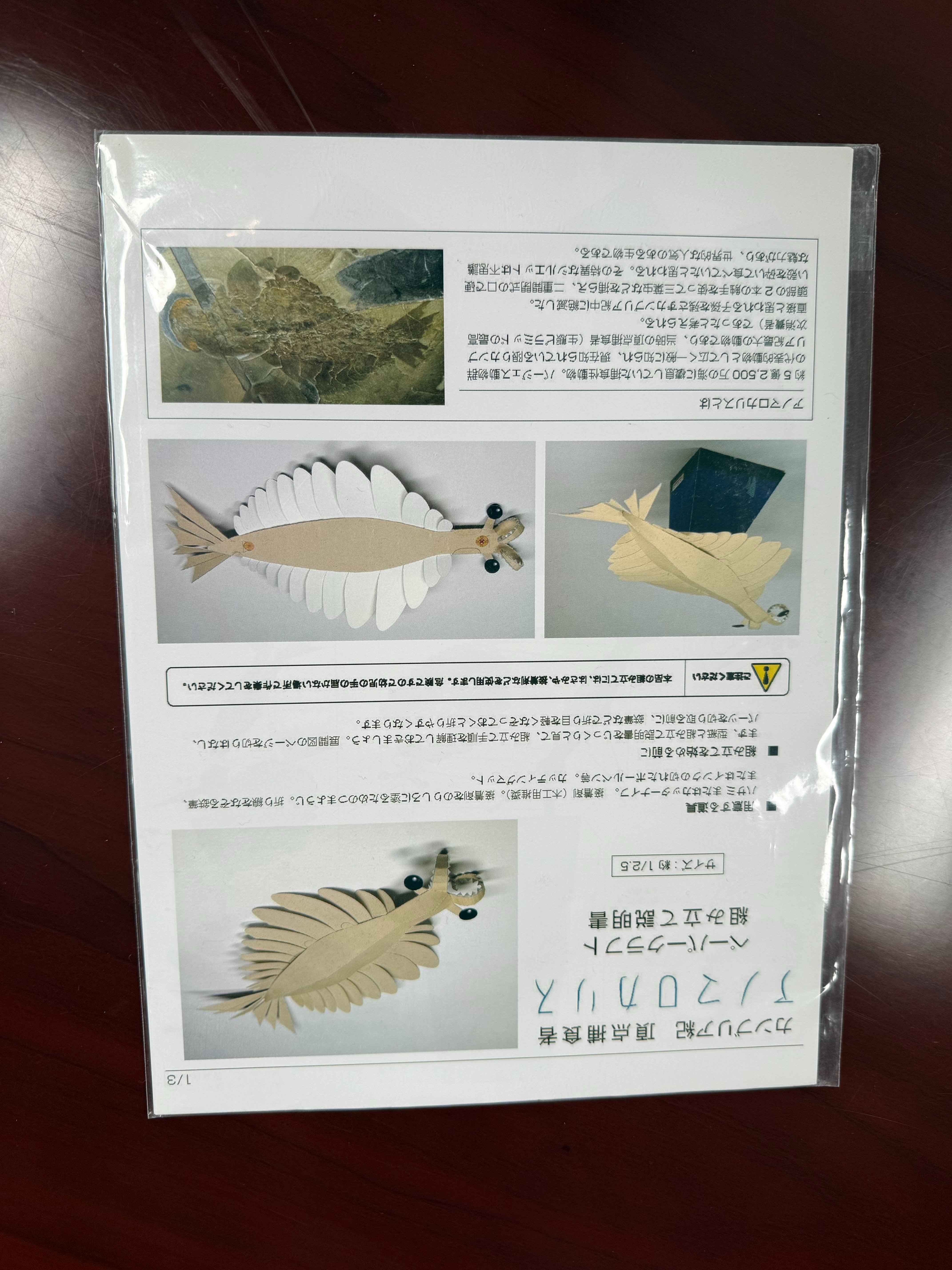 图片1"