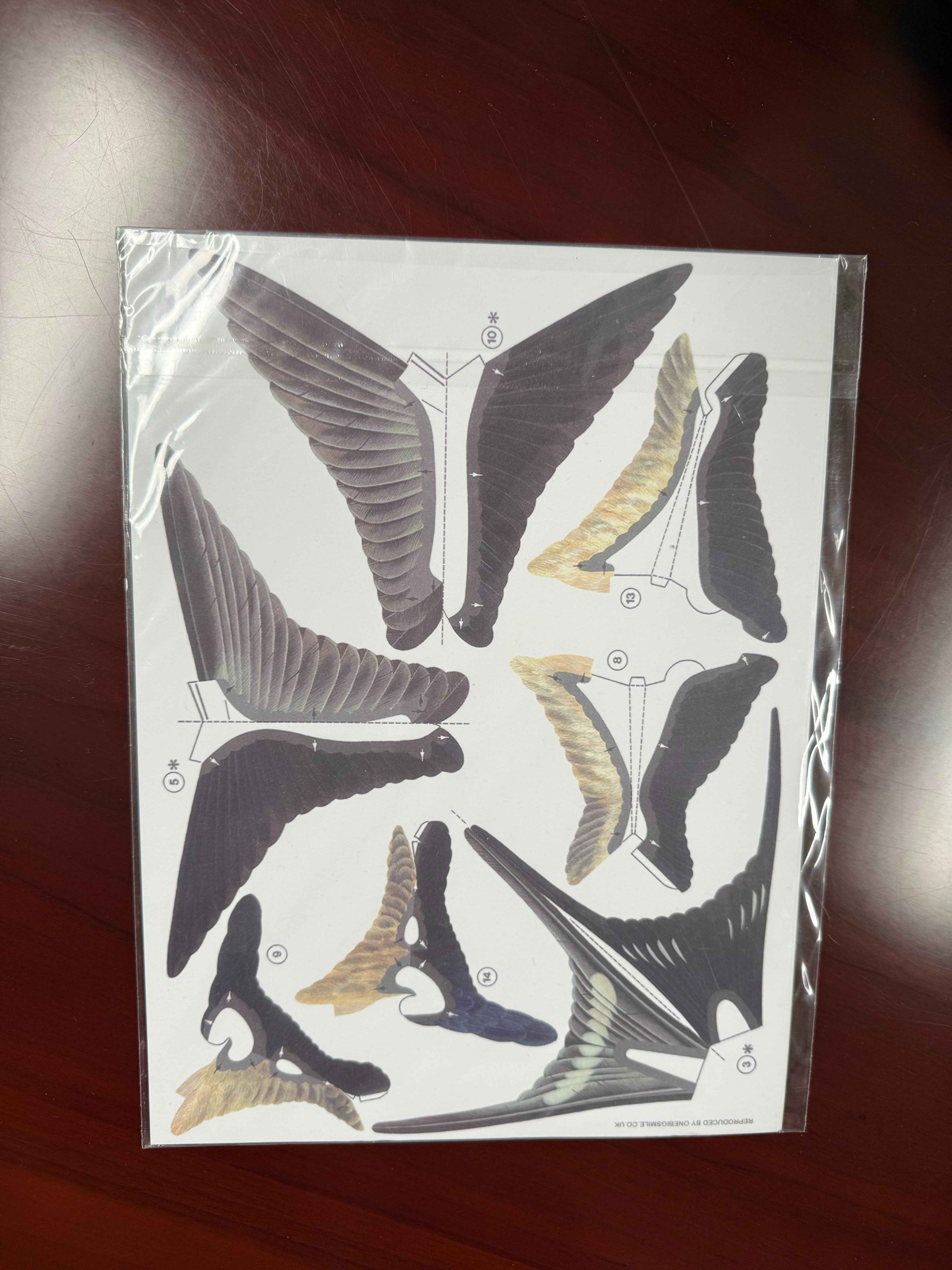 图片2"