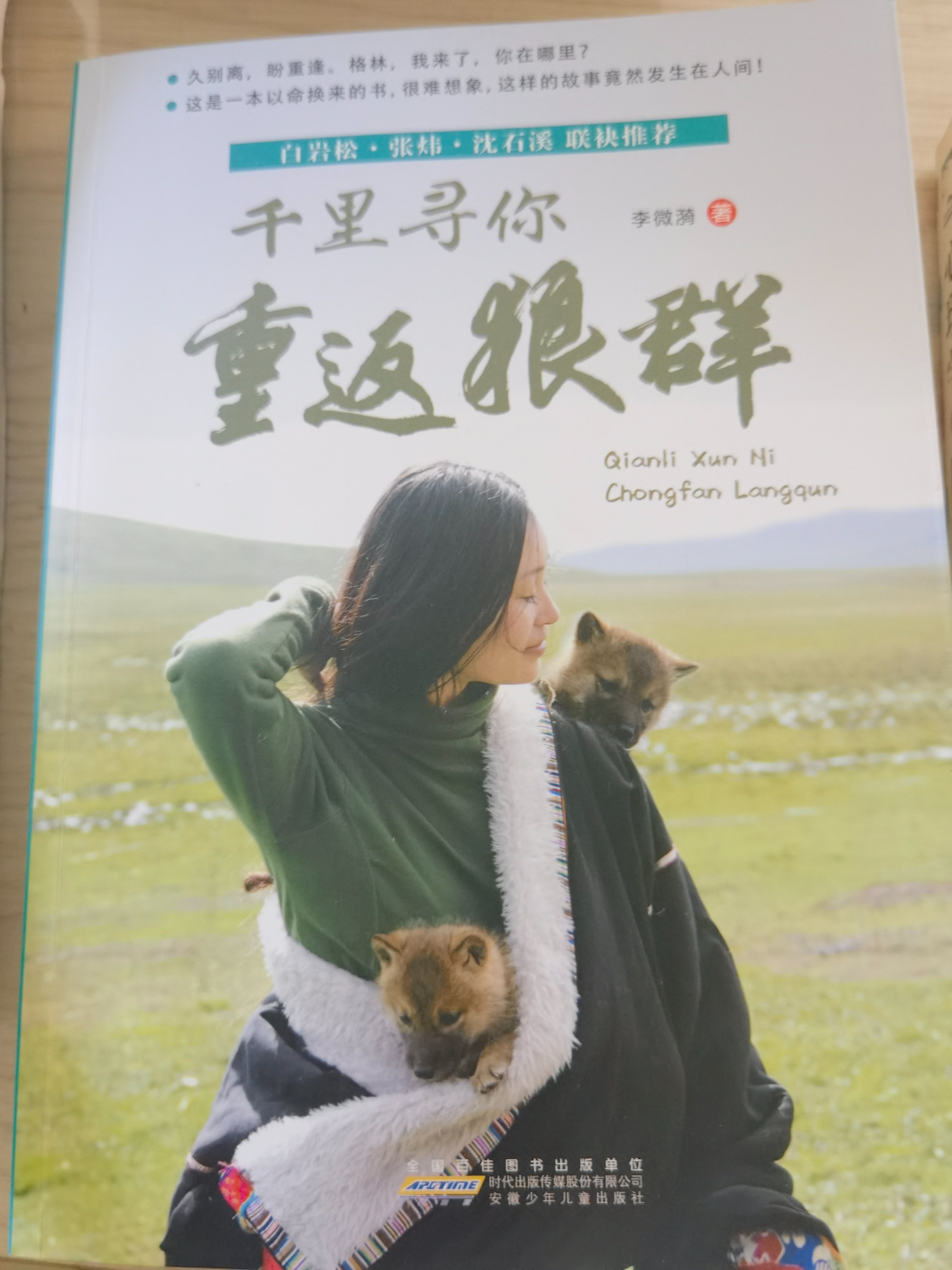 图片3"