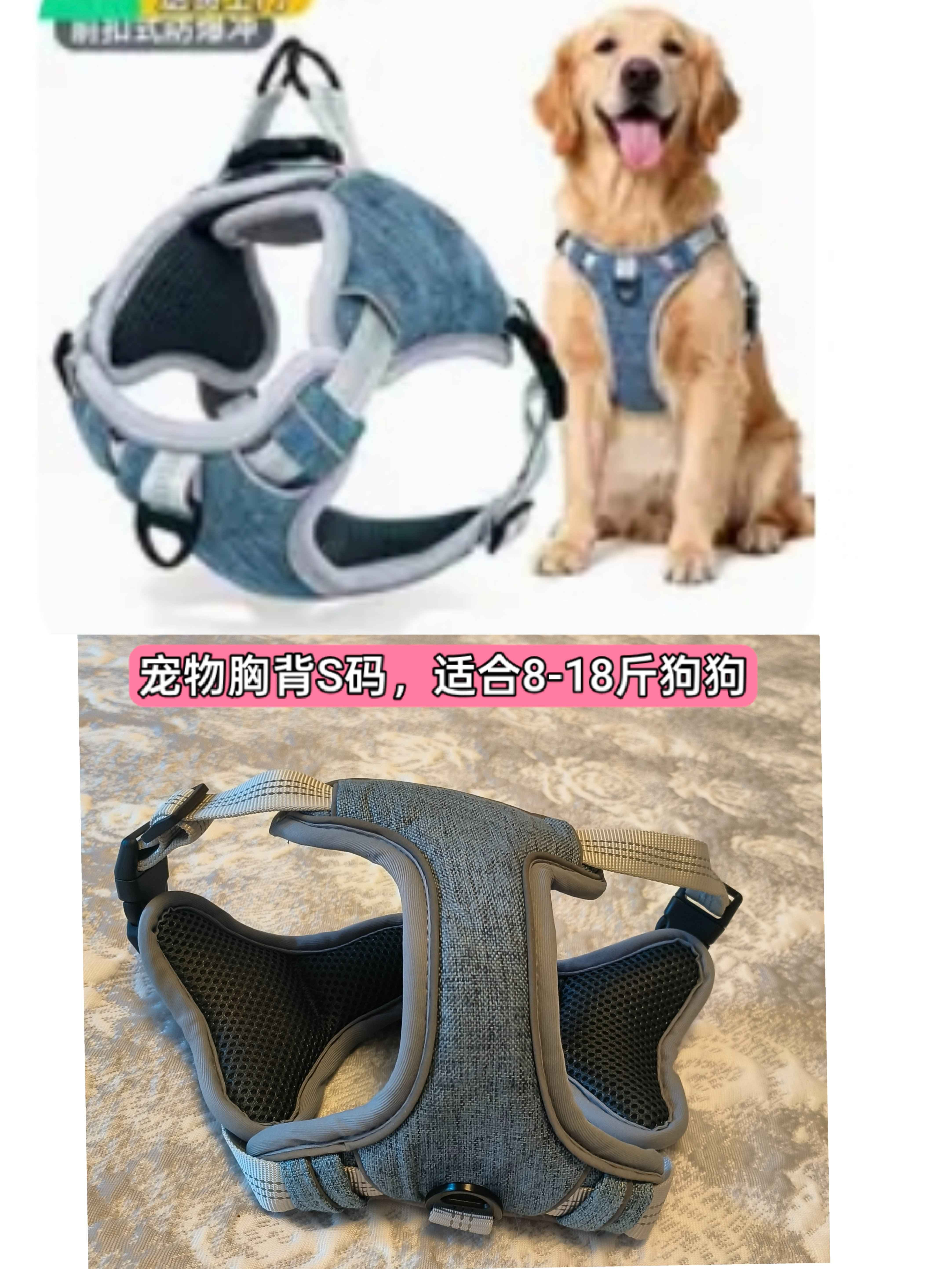 图片1"